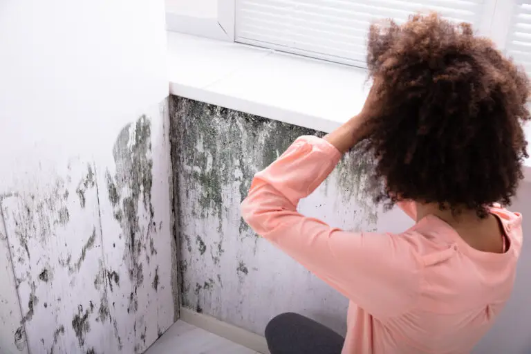 Woman looking at an interior wall containing mold contamination.
